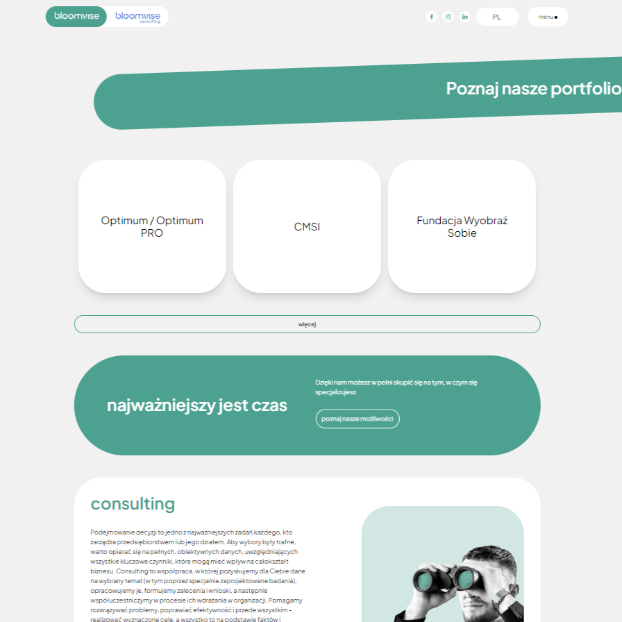 portfolio - Bloomvise.pl