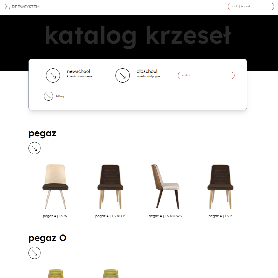 portfolio - Drewsystem